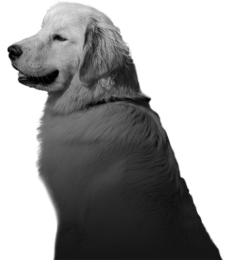Ben